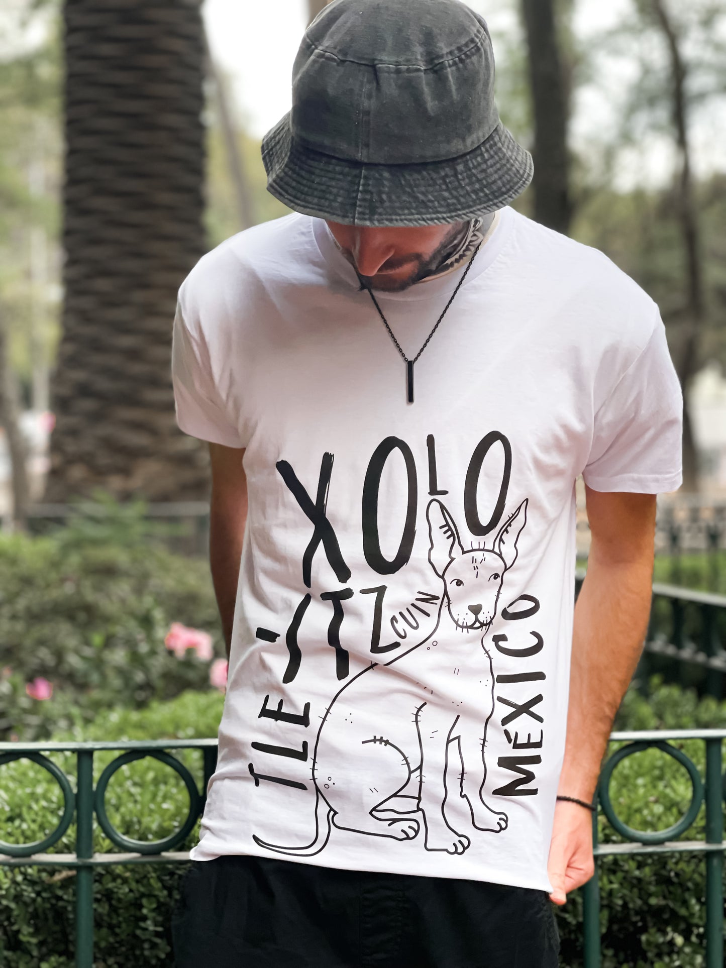 Playera XOLO